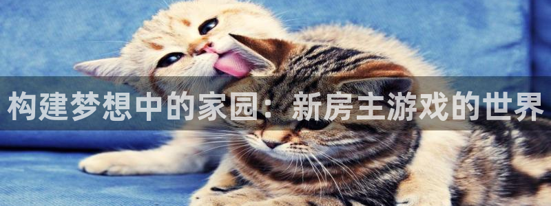 先锋娱乐邀请码多少位啊：构建梦想中的家园：新房主游戏的世界