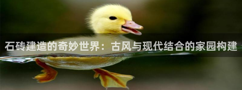 亚洲先锋娱乐登录：石砖建造的奇妙世界：古风与现代结合的家园构建
