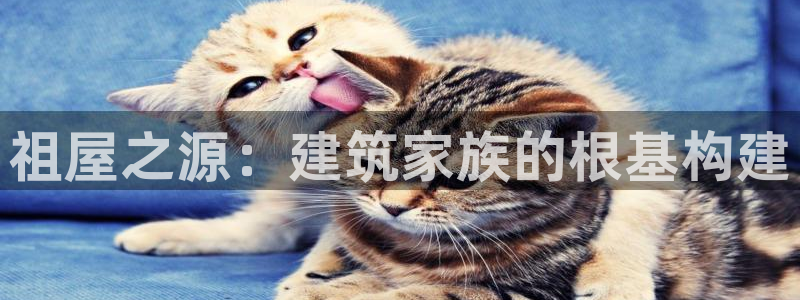 先锋游戏娱乐：祖屋之源：建筑家族的根基构建