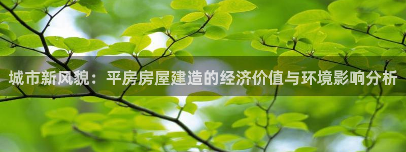 先锋互动娱乐