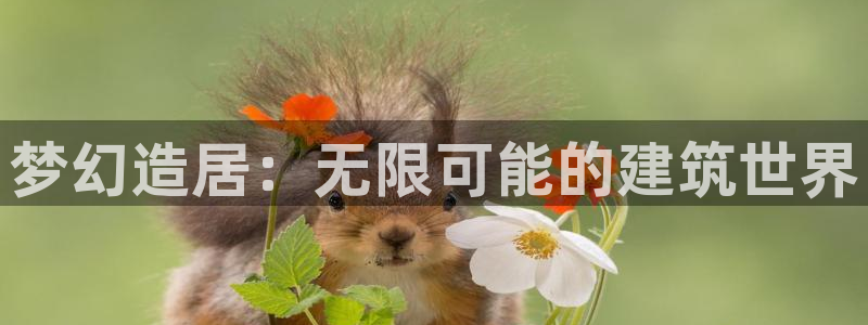 先锋娱乐游戏上分：梦幻造居：无限可能的建筑世界