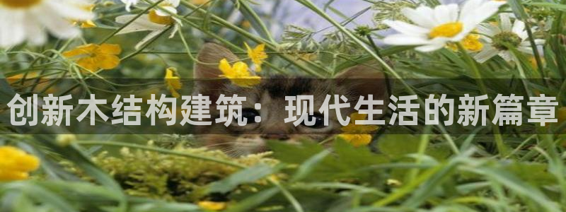 先锋娱乐在线：创新木结构建筑：现代生活的新篇章