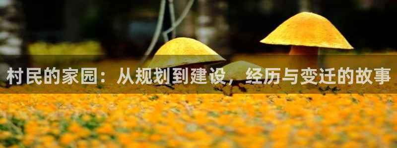 先锋娱乐官：村民的家园：从规划到建设，经历与变迁的故事