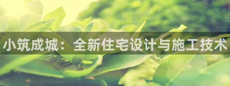 先锋娱乐电话：小筑成城：全新住宅设计与施工技术