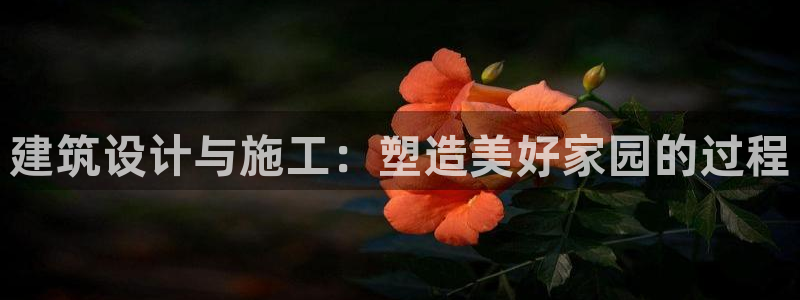 先锋娱乐