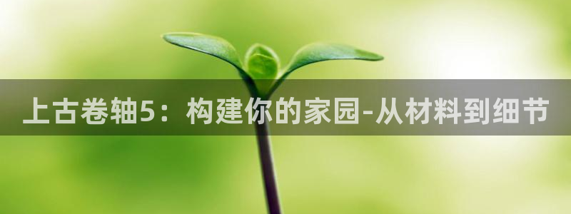 先锋娱乐游戏上分视频：上古卷轴5：构建你的家园-从材料到细节