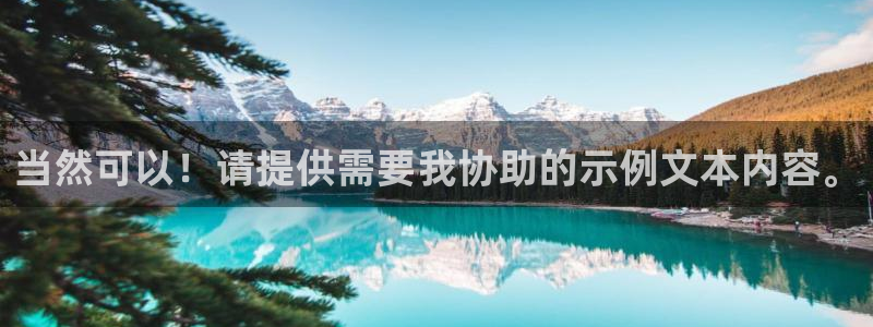 先锋电子车载娱乐系统
