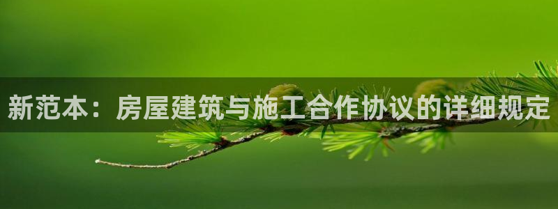 亚洲先锋娱乐跌：新范本：房屋建筑与施工合作协议的详细规定