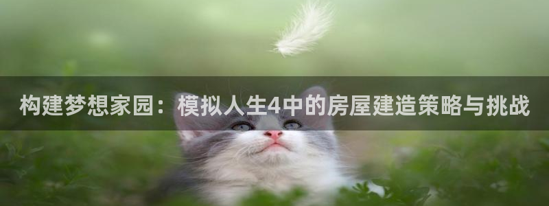 先锋娱乐挂：构建梦想家园：模拟人生4中的房屋建造策略与挑战