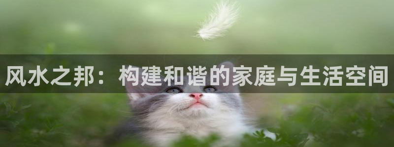 先锋娱乐热点