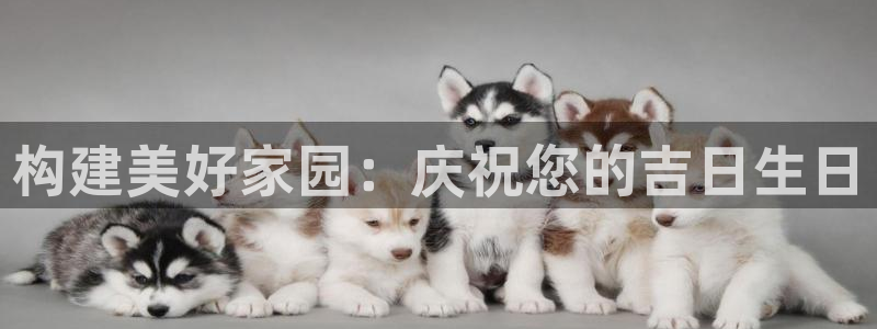 先锋娱乐链接：构建美好家园：庆祝您的吉日生日