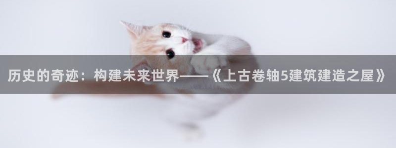 先锋娱乐侠：历史的奇迹：构建未来世界——《上古卷轴5建筑建造之屋》