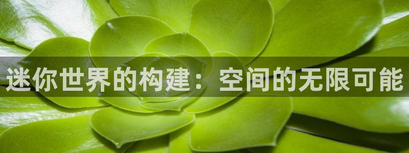 先锋娱乐扑克