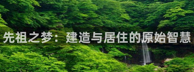 先锋娱乐侠：先祖之梦：建造与居住的原始智慧
