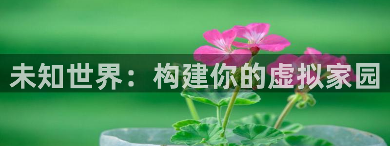 先锋娱乐系统：未知世界：构建你的虚拟家园