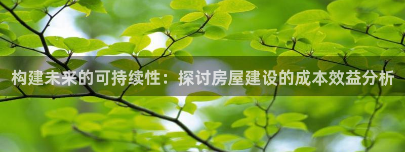 娱乐急先锋李诞甄子丹：构建未来的可持续性：探讨房屋建设的成本效益分析
