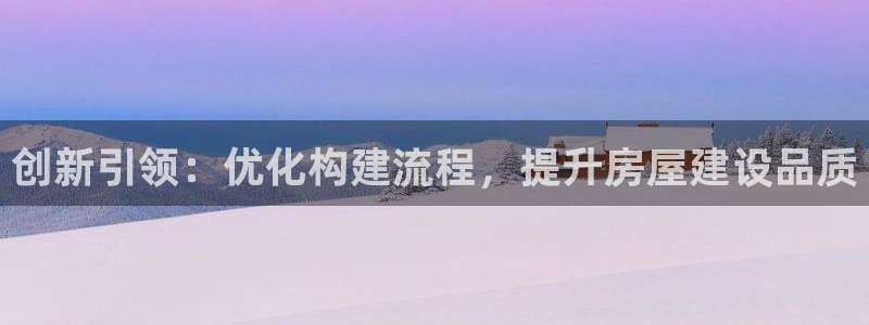 先锋娱乐汇：创新引领：优化构建流程，提升房屋建设品质