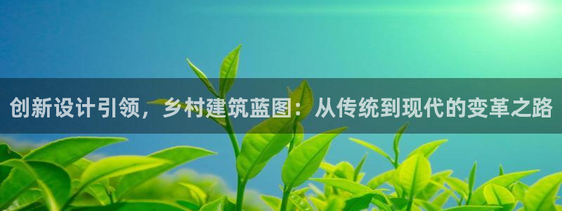 先锋娱乐理财logo：创新设计引领，乡村建筑蓝图：从传统到现代的变革之路