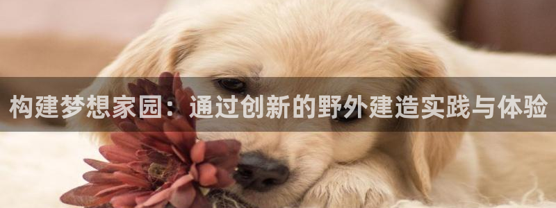 网上炸金花先锋娱乐：构建梦想家园：通过创新的野外建造实践与体验