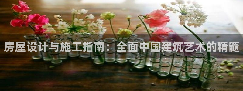 先锋娱乐客服：房屋设计与施工指南：全面中国建筑艺术的精髓