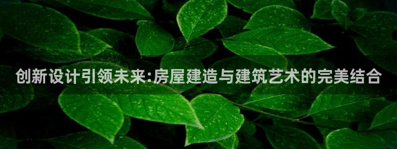 先锋娱乐账号注册不了：创新设计引领未来:房屋建造与建筑艺术的完美结合
