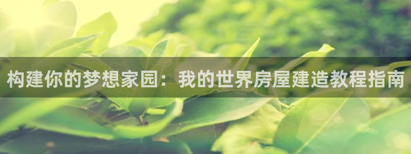 先锋娱乐挂：构建你的梦想家园：我的世界房屋建造教程指南