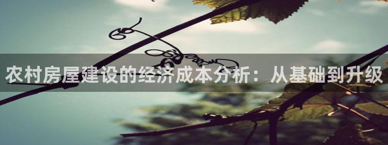 先锋娱乐资讯官网入口：农村房屋建设的经济成本分析：从基础到升级