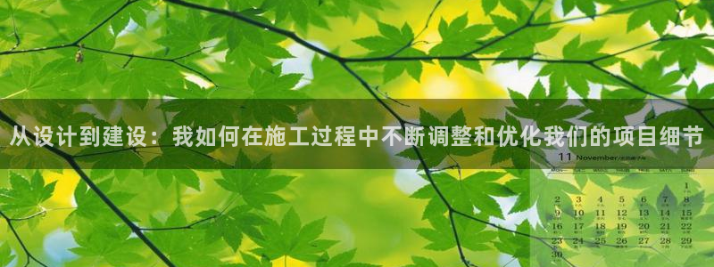 先锋娱乐理财logo：从设计到建设：我如何在施工过程中不断调整和优化我们的项目细节