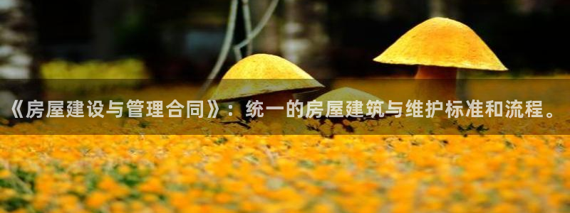 先锋娱乐账号