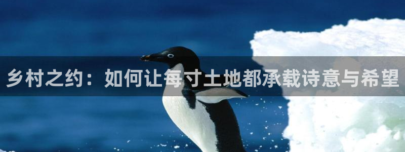 先锋娱乐账号注册不了：乡村之约：如何让每寸土地都承载诗意与希望