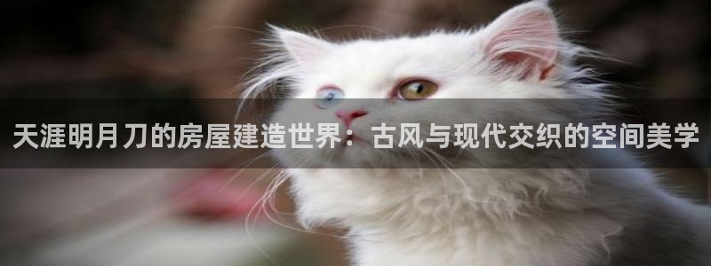 先锋娱乐网67xf：天涯明月刀的房屋建造世界：古风与现代交织的空间美学