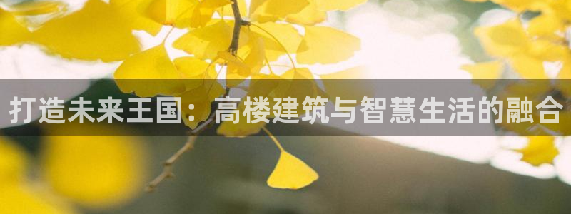 先锋娱乐游戏软件