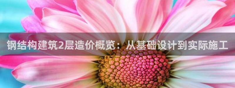 先锋娱乐客服：钢结构建筑2层造价概览：从基础设计到实际施工