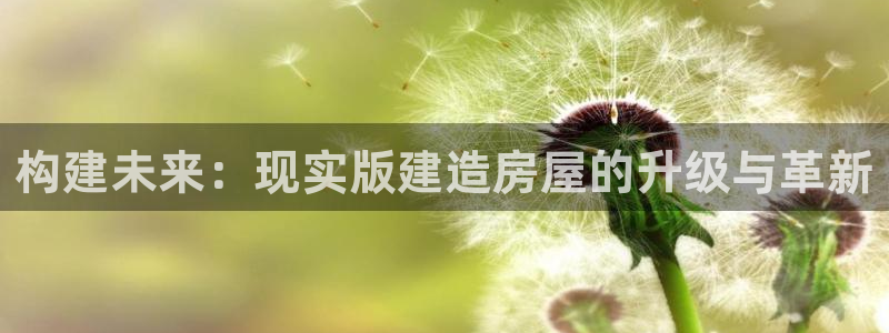先锋娱乐官：构建未来：现实版建造房屋的升级与革新
