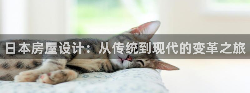 亚洲先锋娱乐招股：日本房屋设计：从传统到现代的变革之旅