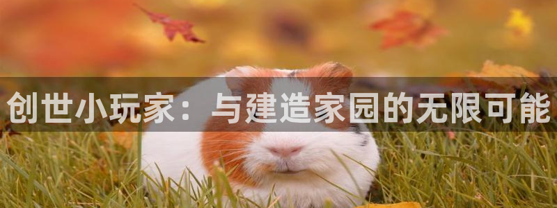 先锋娱乐邀请码多少位啊：创世小玩家：与建造家园的无限可能