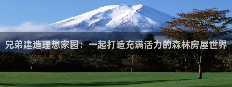 先锋游戏娱乐：兄弟建造理想家园：一起打造充满活力的森林房屋世界