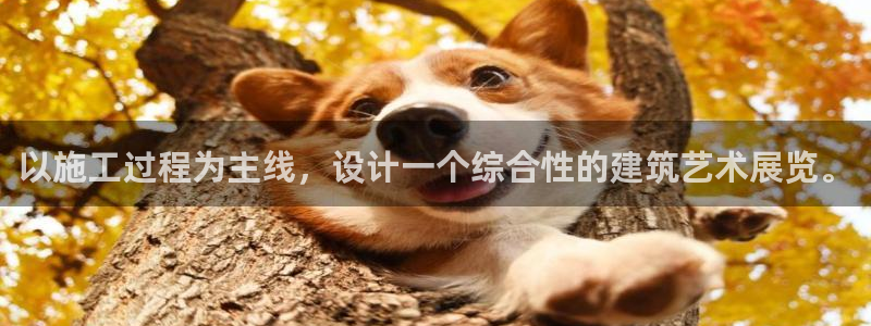 先锋娱乐官：以施工过程为主线，设计一个综合性的建筑艺术展览。