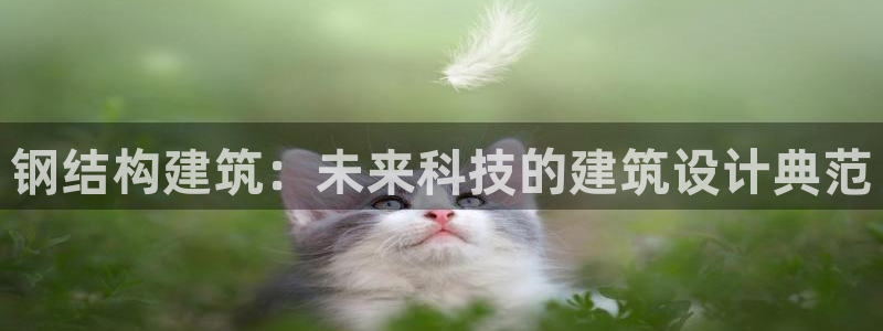 先锋娱乐账号：钢结构建筑：未来科技的建筑设计典范