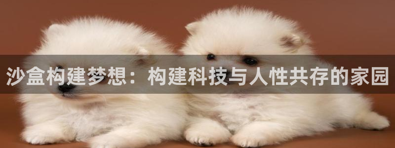 先锋娱乐客服中心：沙盒构建梦想：构建科技与人性共存的家园