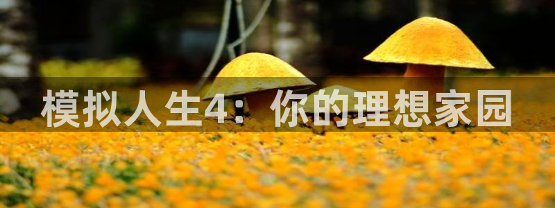 先锋娱乐账号注册不了：模拟人生4：你的理想家园