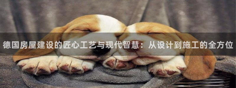 先锋娱乐麻将：德国房屋建设的匠心工艺与现代智慧：从设计到施工的全方位