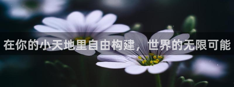 先锋娱乐理财：在你的小天地里自由构建，世界的无限可能