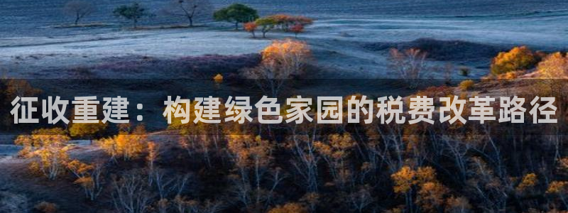 先锋娱乐传媒：征收重建：构建绿色家园的税费改革路径