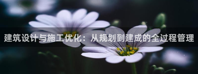 先锋娱乐垫付金额：建筑设计与施工优化：从规划到建成的全过程管理