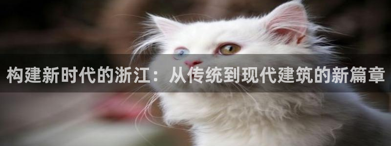 先锋娱乐理财：构建新时代的浙江：从传统到现代建筑的新篇章