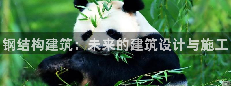 先锋娱乐官：钢结构建筑：未来的建筑设计与施工