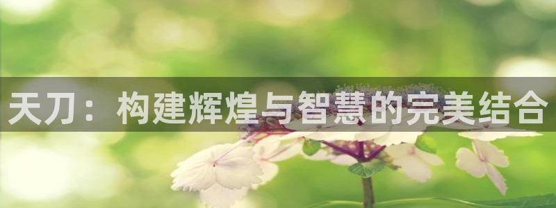 亚洲先锋娱乐登录：天刀：构建辉煌与智慧的完美结合