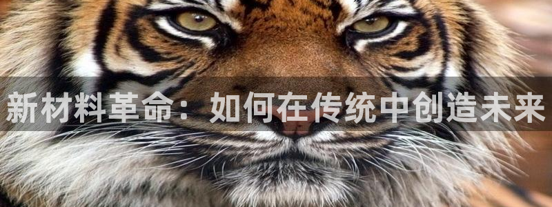 先锋娱乐俱乐部：新材料革命：如何在传统中创造未来