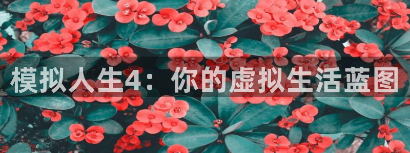 先锋娱乐：模拟人生4：你的虚拟生活蓝图